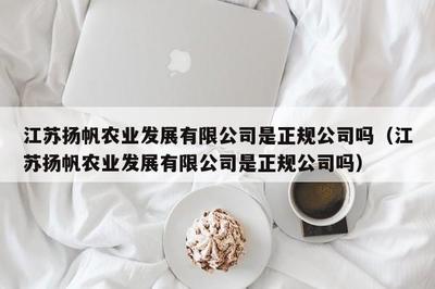 江蘇揚(yáng)帆服飾 深耕針紡織品領(lǐng)域的專業(yè)供應(yīng)商